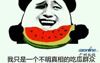 吃瓜群众是什么,网络时代的旁观者与评论家