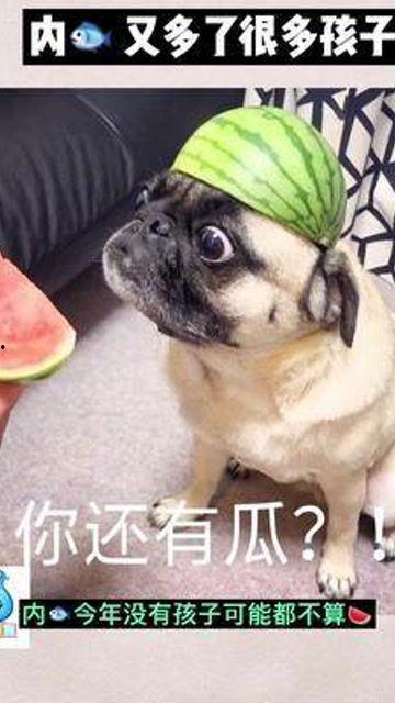 愉悦娱乐吃瓜群众,吃瓜群众眼中的娱乐圈风云