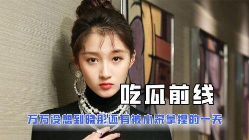 娱乐吃瓜酱低智商,揭秘低智商背后的娱乐真相