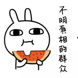 吃瓜不分年龄娱乐搞笑,吃瓜不分年龄，欢乐共享的娱乐盛宴